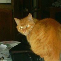 Teresa Truitt Photo 7