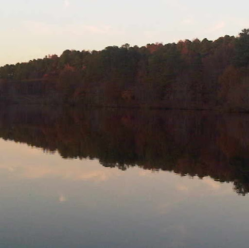 Shelley Smith Photo 9