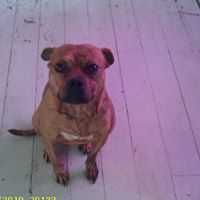 Frank Robertson Photo 24