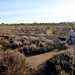 Randy Miles Photo 17
