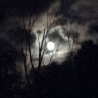 Nancy Dilley Photo 5