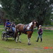 Jill Mcdowell Photo 16