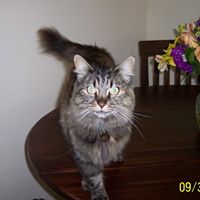 Judy Toler Photo 9