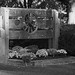 Douglas Ervin Photo 5