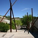 Roberta Pino Photo 3