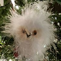 Lisa Sisco Photo 11