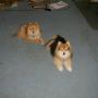 Christopher Colvin Photo 26