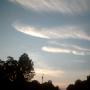 David Fredman Photo 12