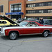 Terry Seay Photo 20