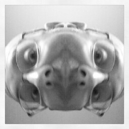James Simeone Photo 17