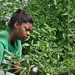 Ruth Horton Photo 17
