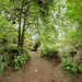 Douglas Trout Photo 4