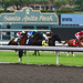 Rafael Flores Photo 45
