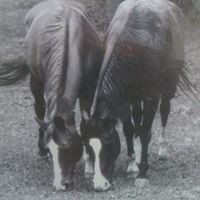 Dale Lynn Photo 7