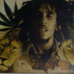 Reggie Gordon Photo 13