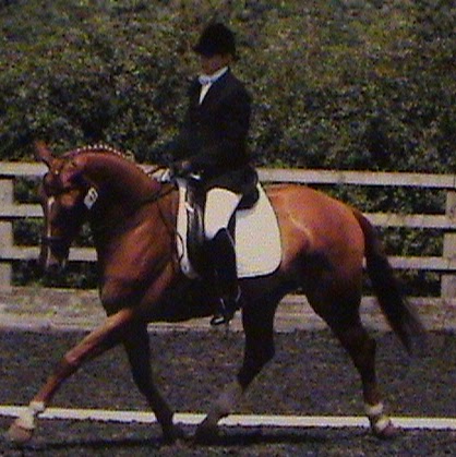 Julie Copeland Photo 26