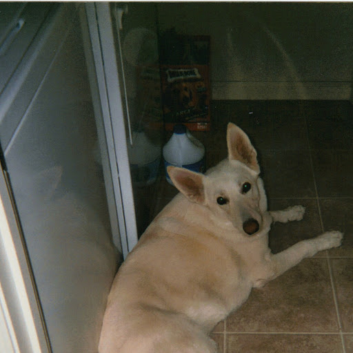 Cindy Munsch Photo 6