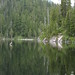 Dorothy Camp Photo 11