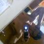 Joseph Angulo Photo 11