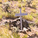 Darrel Jones Photo 10