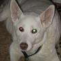 Karen Locke Photo 31
