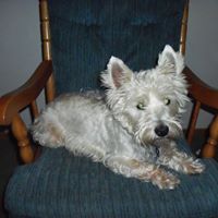Kimberly Wells Photo 39