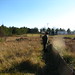 Joan Helms Photo 15