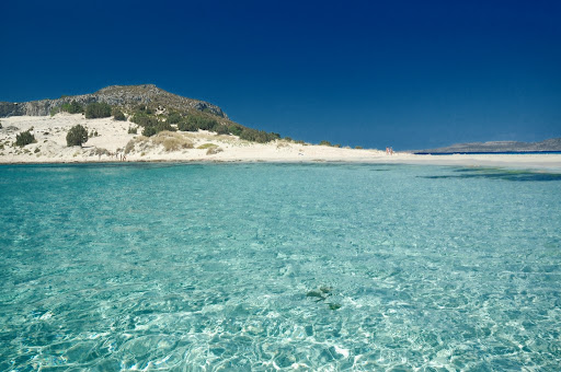 Dimitrios Stampoulis Photo 1