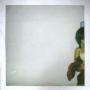 Elizabeth Downey Photo 6
