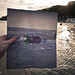 Robin Sample Photo 20