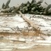 Christopher Weir Photo 39