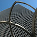 David Trammel Photo 10