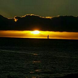 Mark Kirkpatrick Photo 11
