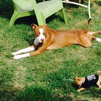 Sandra Staggs Photo 14
