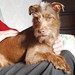 Mandy Cross Photo 36