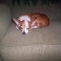 Angel Patrick Photo 19