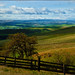 Gary Pedersen Photo 9