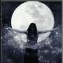 Alice Wolf Photo 25