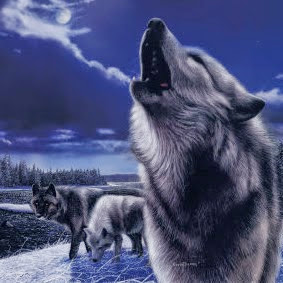 Mark Washburn Photo 20