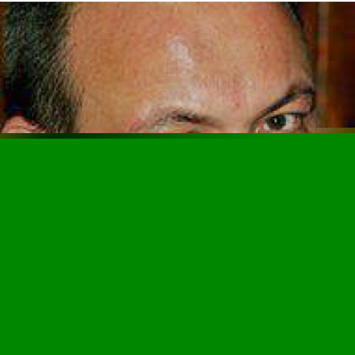 Michael Roth Photo 62