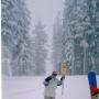 Steven Johnston Photo 20