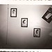 William Bechtel Photo 32