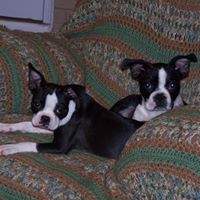 Ann Buckner Photo 25