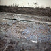 Richard Ernst Photo 7