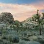 Dan Sisson Photo 22
