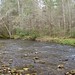 Spring Davidson Photo 8