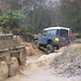Mike Wolfe Photo 29