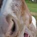 Carl Goins Photo 8
