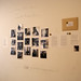 Jeannette Montgomery Photo 23