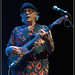 Nick Lowe Photo 40